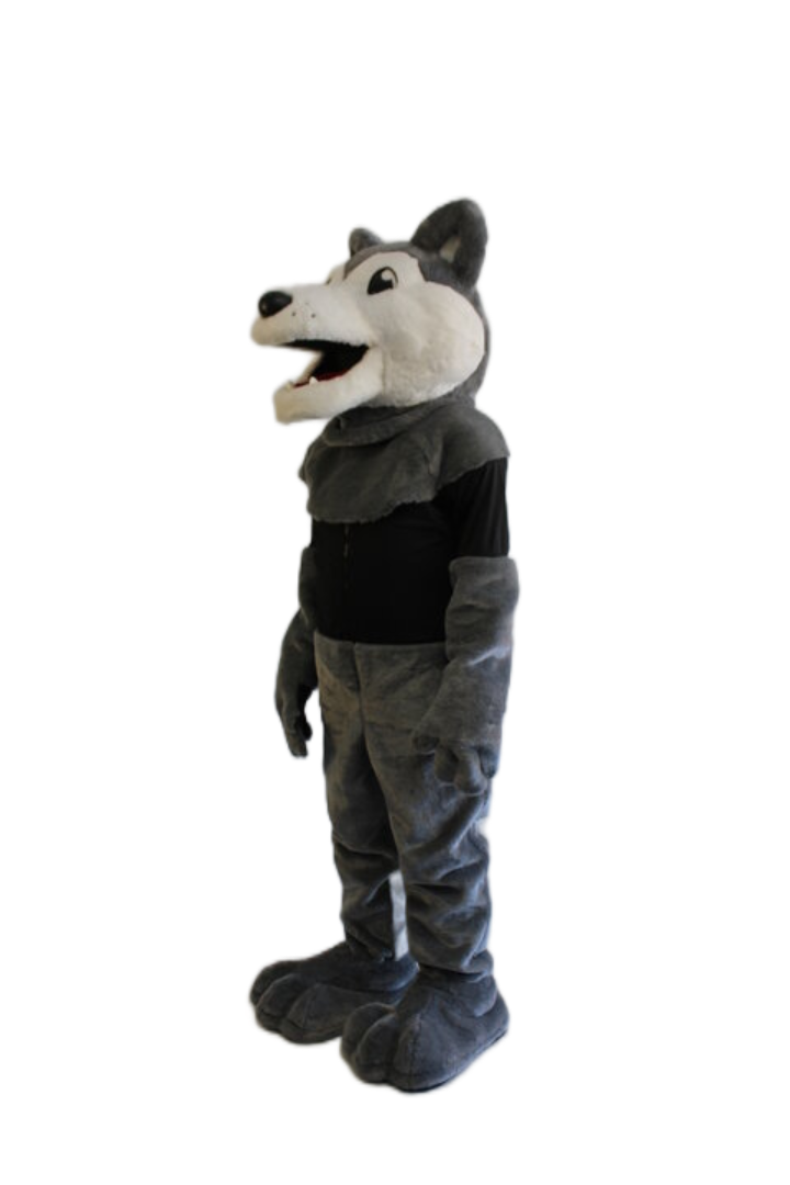 Humberside Collegiate Institute – Husky