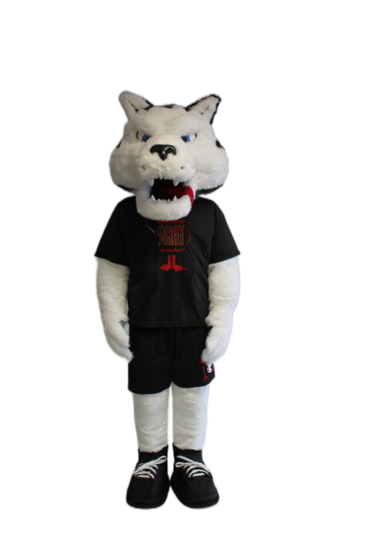 Northeastern University – Paws
