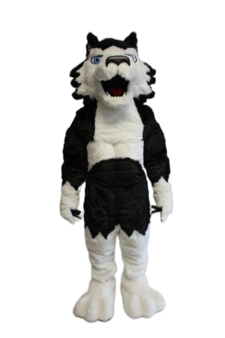 Northern Illinois University – Victor E. Huskie