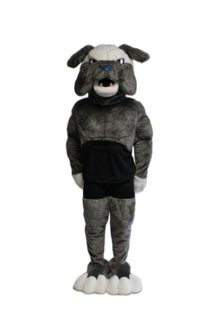 Drake University – Spike the Bulldog