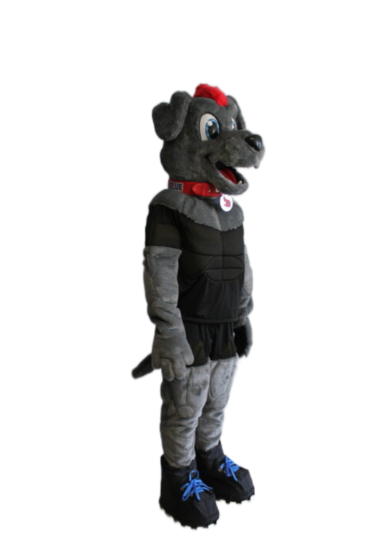North Texas Soccer Club – Dog