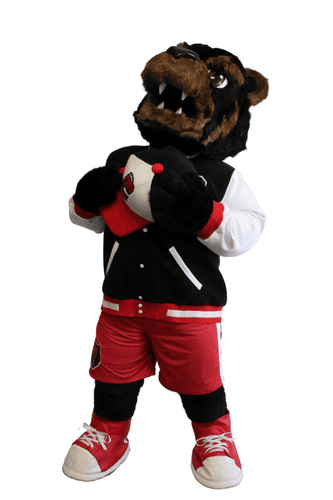 Chittenango Central School District – Bear