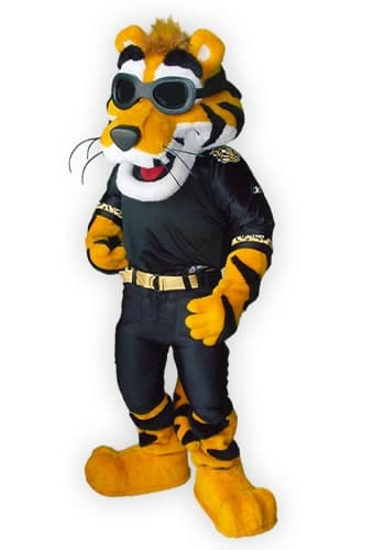 Hamilton Ti Cats – Stripes