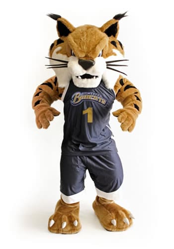 University of California Merced - Rufus the Bobcat
