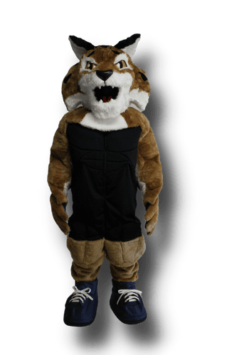 Quinnipiac University - Boomer