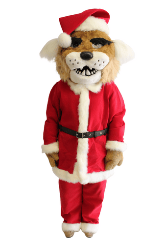 University of Arizona - Cat Wilbur Santa Suit