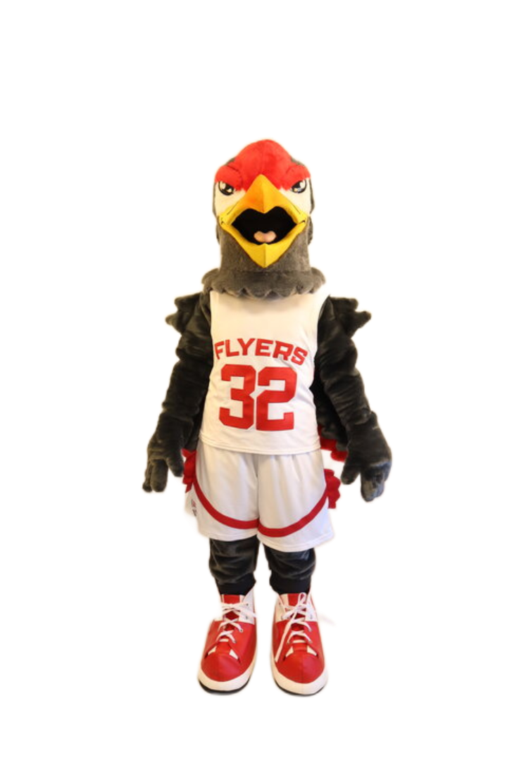 Lewis University – Fitz the Flyer