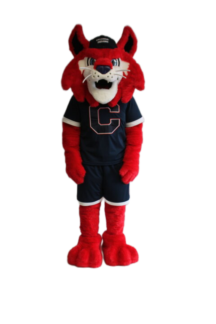 Catawba College – Catamount