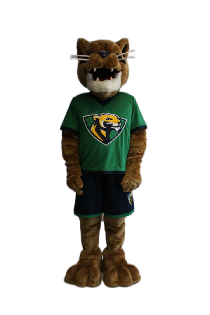 Mount Wachusett Community College – Wildcat