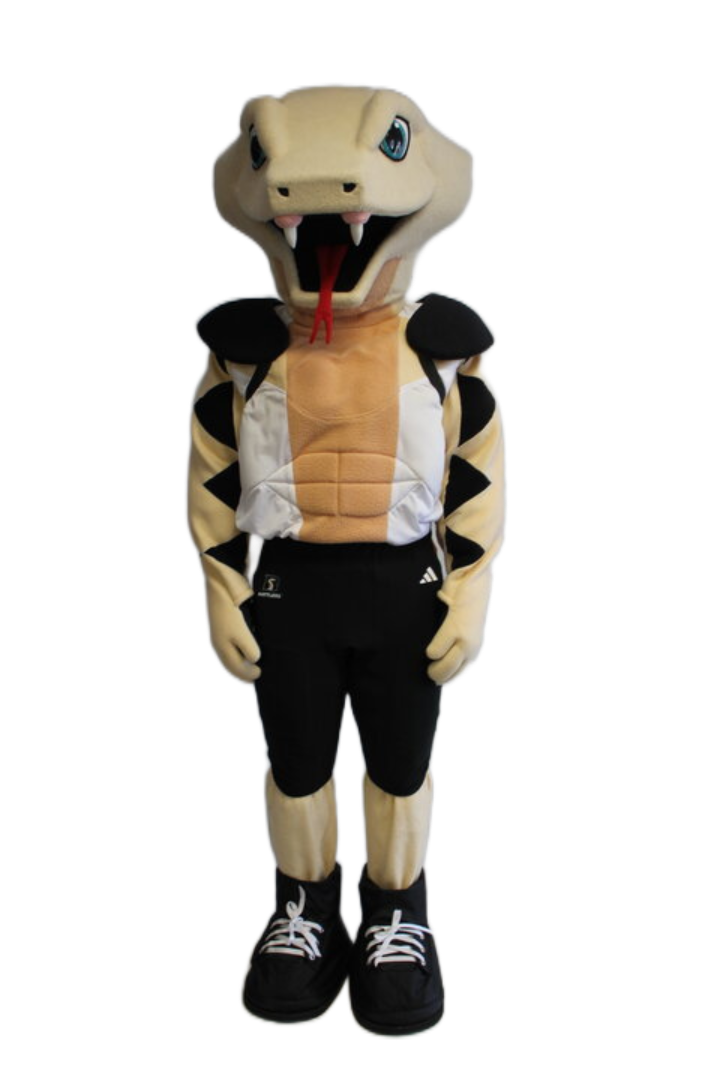 Arizona Rattlers – Snake