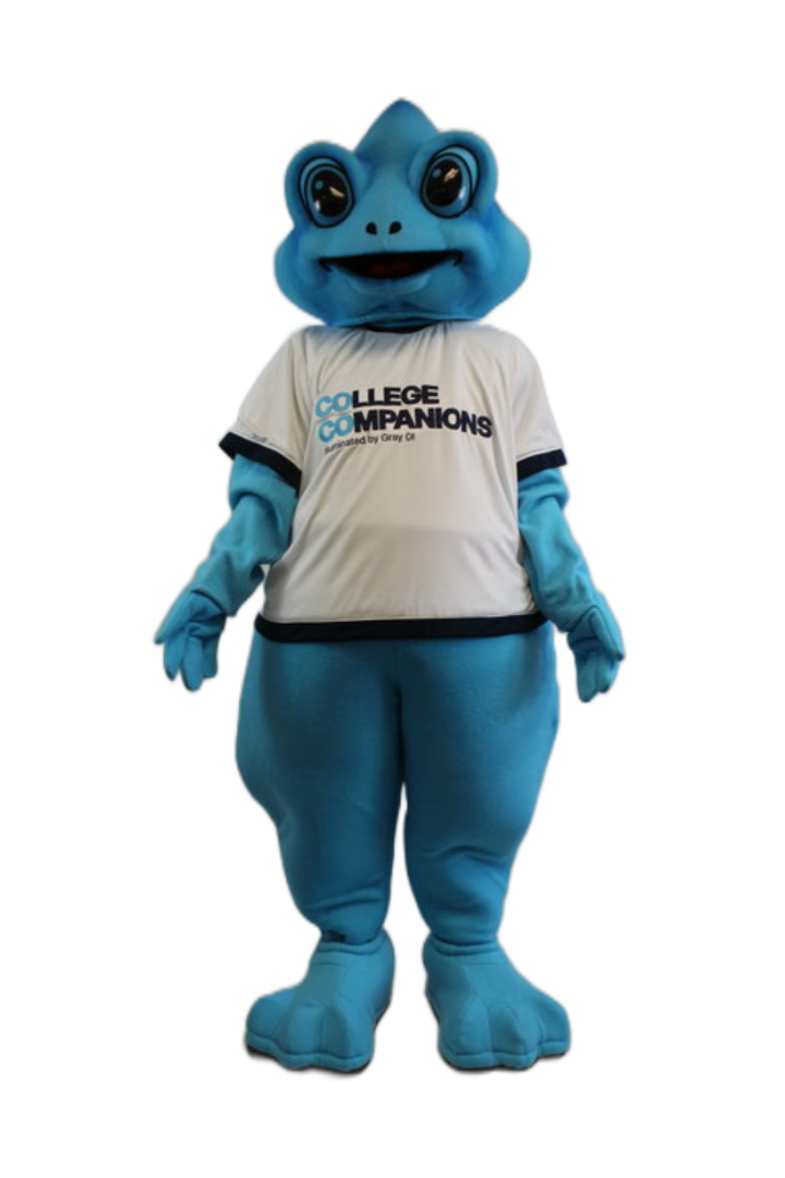 Gray Decision Intelligence – CoCo the Chameleon