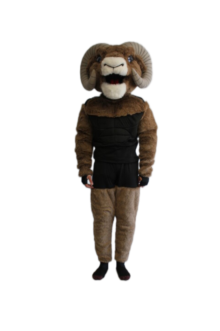 Los Angeles Rams – Rampage