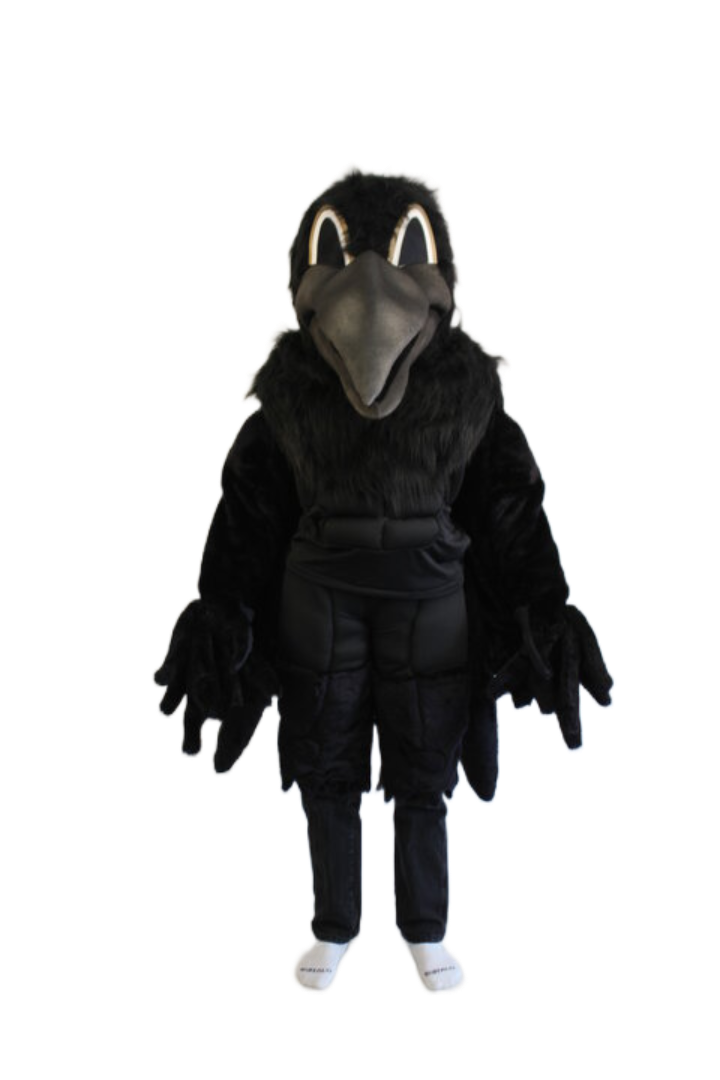 Baltimore Ravens – Edgar