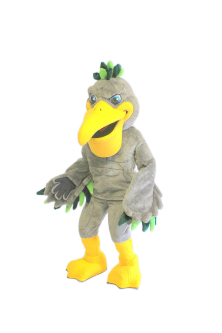Tulane University – Riptide the Pelican