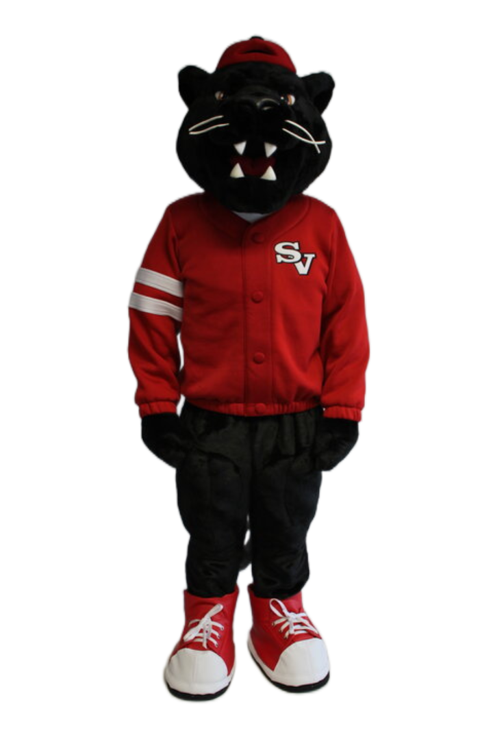 Saucon Valley School District – Panther
