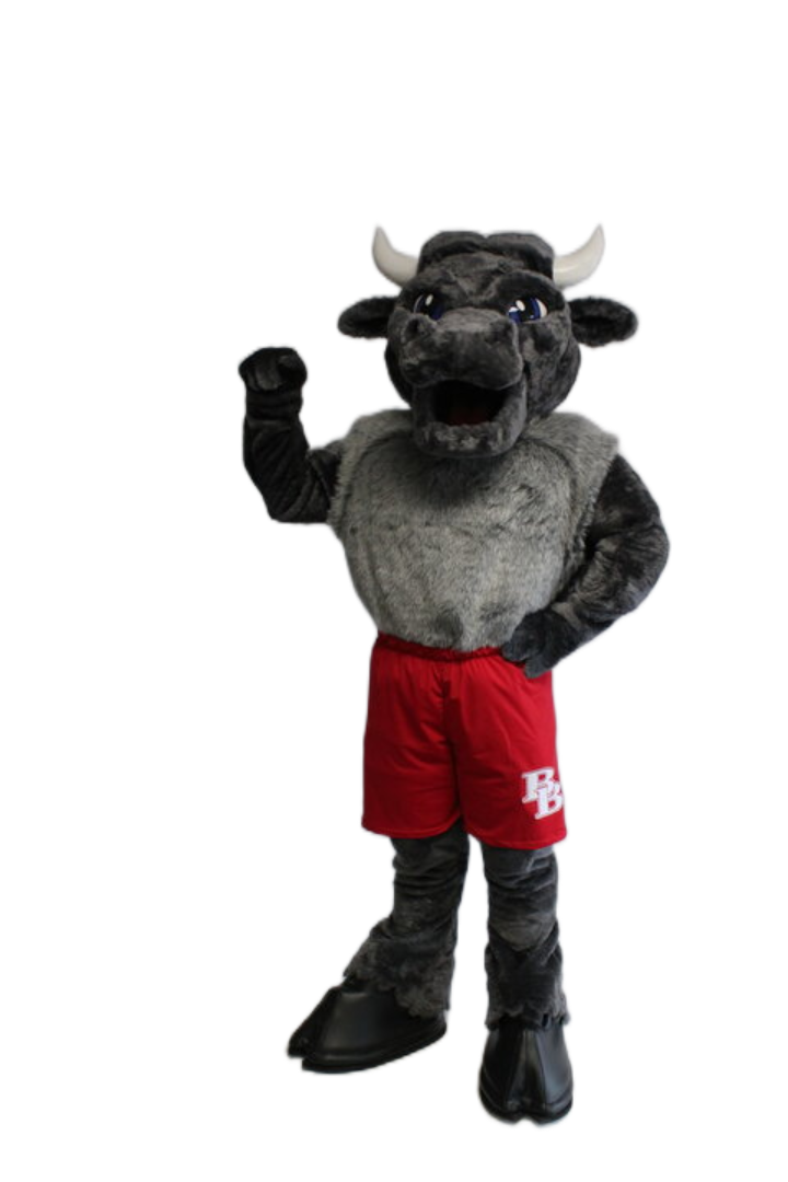 Bellville High School – Bull