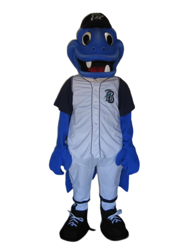Bridgeport Bluefish – Fish