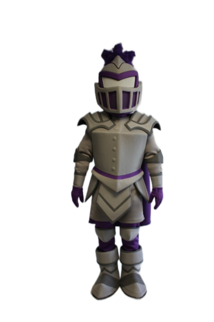 Furman University – Paladin