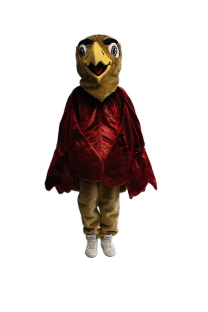 Saint Joseph's University – The Hawk