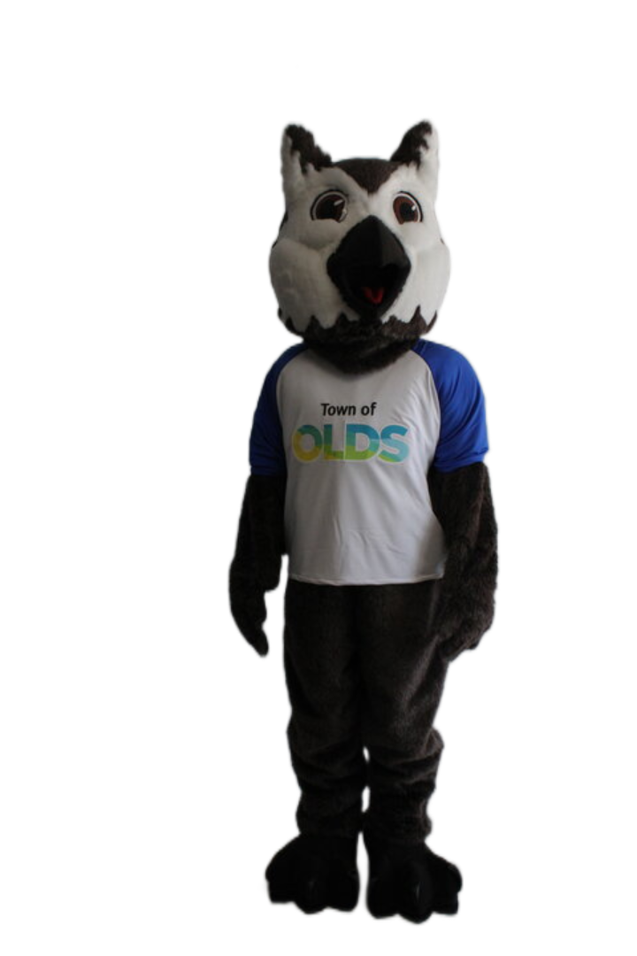 Town of Olds – Owl