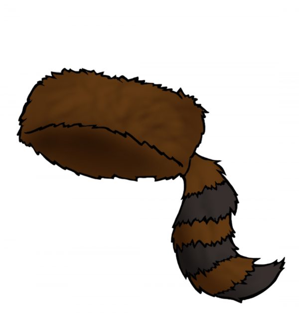 Coonskin Cap