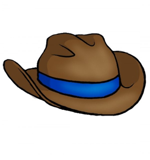 Cowboy Hat